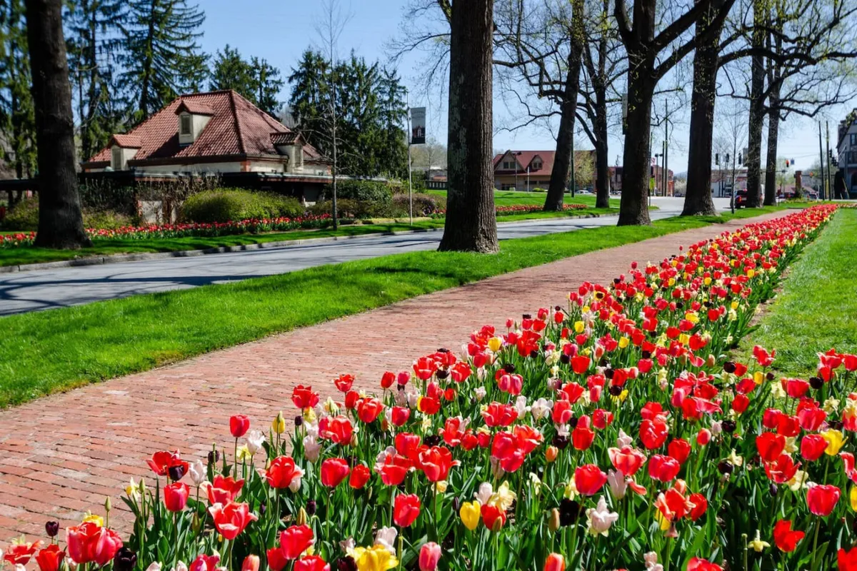 A historic building is set behind a brick pathway and a lush bed of vibrant tulip flowers. The scene is lively and cheerful, capturing the essence of outdoor exploration and the unique character of the local attractions.