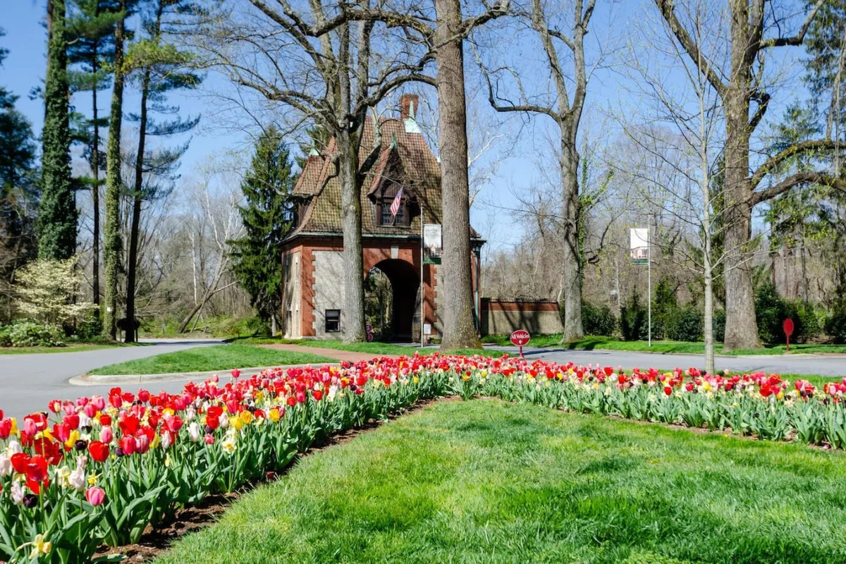 This image features a vibrant flower bed of tulips in full bloom, an arched entrance framed by trees, and a cheerful garden atmosphere. The bright colors and welcoming landscaping evoke the sense of arrival at a destination known for its beautiful outdoor spaces.